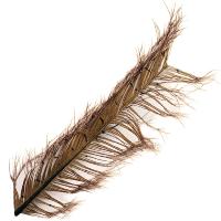 Cock Pheasant Knotted Tail