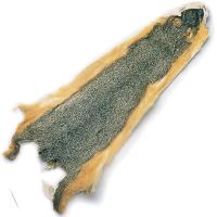 Fox Squirrel Whole Skin