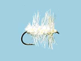 Turrall Dry Hackled White Moth - Dh24