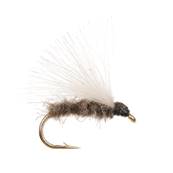 Turrall Sedge White Cul De Canard Trout Fly