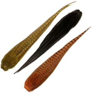 Cock Pheasant Complete Tail - Dyed