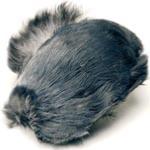 Jackdaw Fly Tying Feathers