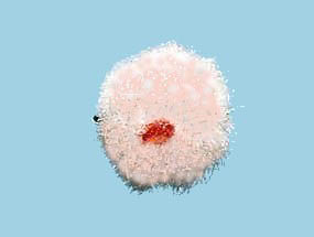 Turrall Salmon Egg Flies Glo-Bug Pink - Eg05