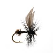 Turrall Black Ant Dry Winged Trout Fly