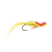 Turrall H.H.Gurgler Yellow Foam Popper Trout Fly