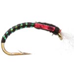 Turrall Holographic Buzzers