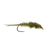 Turrall Olive Biot Creeper Nymph Trout Fly