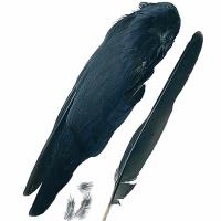 Crow Wings