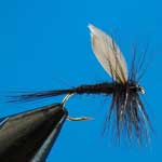 Black Gnat Dry Trout Fishing Fly #12 (D136)