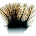 Coq De Leon Fly Tying Feathers