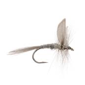 Turrall Blue Dun Dry Winged Trout Fly