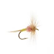 Turrall Tups Indispensable Dry Hackled Trout Fly