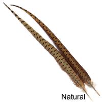 Cock Pheasant Centre Tail