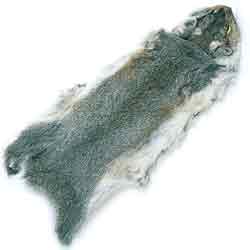 Grey Squirrel Whole Skin