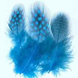 Guinea Fowl Plumage Hackles (Small) Selected
