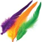 Hackles - Loose Fly Tying Feathers