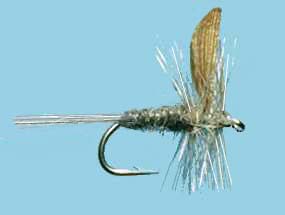 Turrall Dry Winged Blue Dun - Dw06