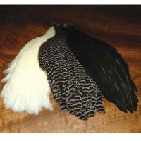 Metz Hen Necks - Grade 1