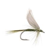 Turrall Dark Olive Dun Wet Winged Trout Fly
