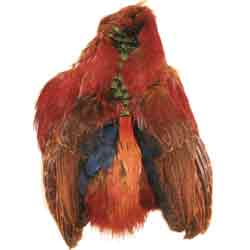 Golden Pheasant Body Skins (Dyed)
