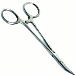 Forceps Curved 8 inch