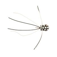 Turrall Leggy Widdow Foam Popper Trout Fly