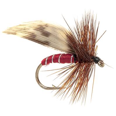 Turrall Red Caddis / Sedge Trout Fly