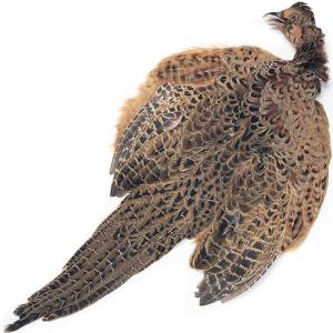 Hen Pheasant Complete Skin