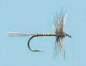 Turrall Dry Hackled Blue Quill - Dh08