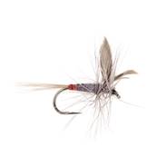 Turrall Iron Blue Dun Dry Winged Barbless Trout Fly